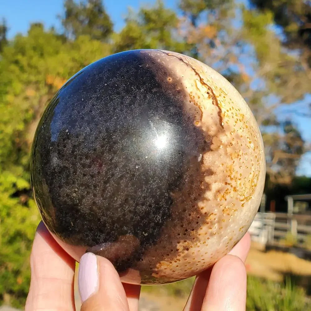 Large Petrified Palm Root Wood Fossil Crystal Sphere Indonesian 714 grams | 82mm